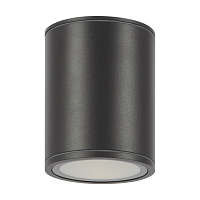 Maytoni Outdoor Bar Потолочный светильник цвет: графит O306CL-L12GF