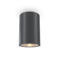 Maytoni Outdoor Bar Потолочный светильник цвет: графит O306CL-L12GF