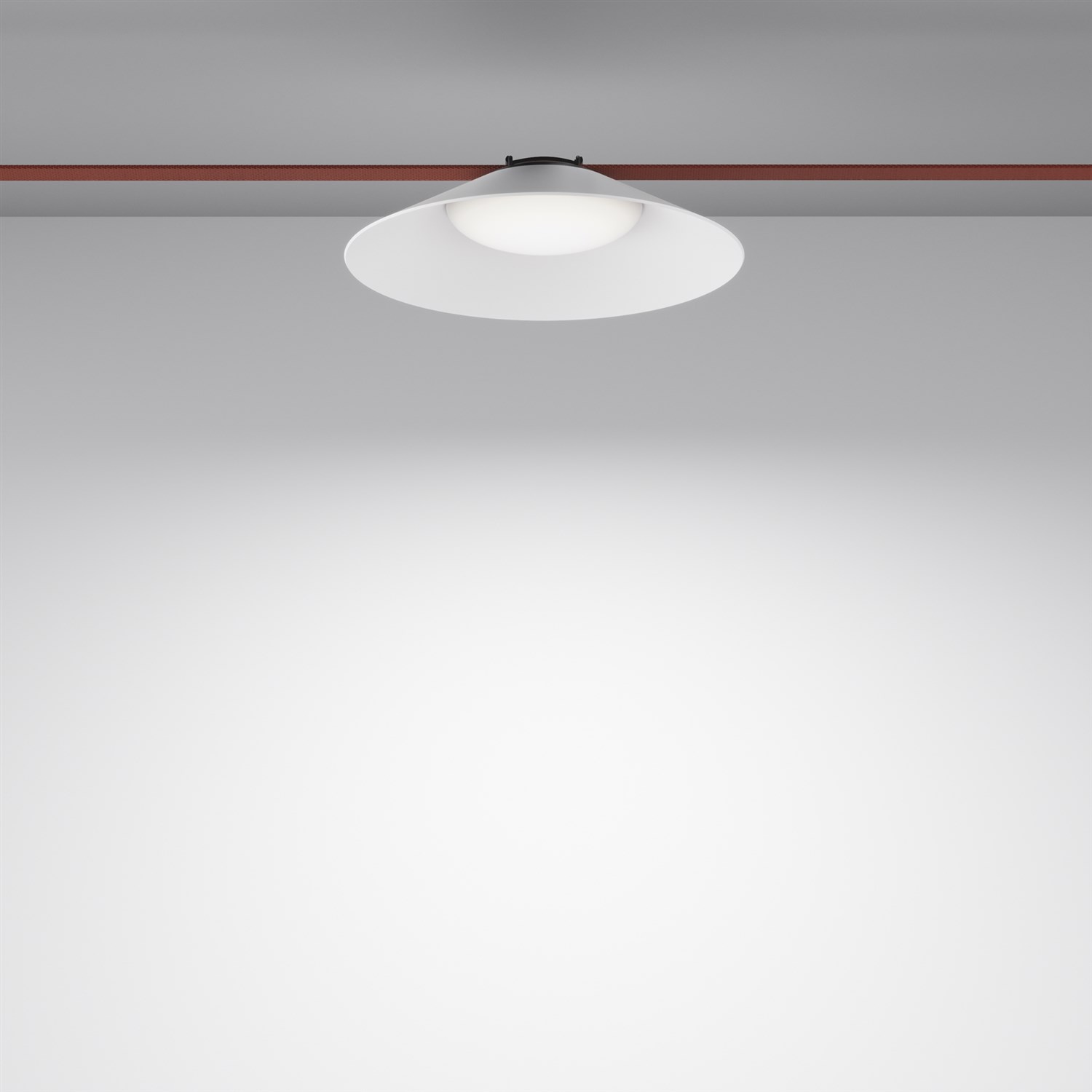 Maytoni Technical Campana Подвесной светильник цвет: черный TR127B-12W4K-W