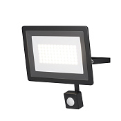 Maytoni Outdoor Flood Прожектор цвет: черный FL001-L50B6KSR