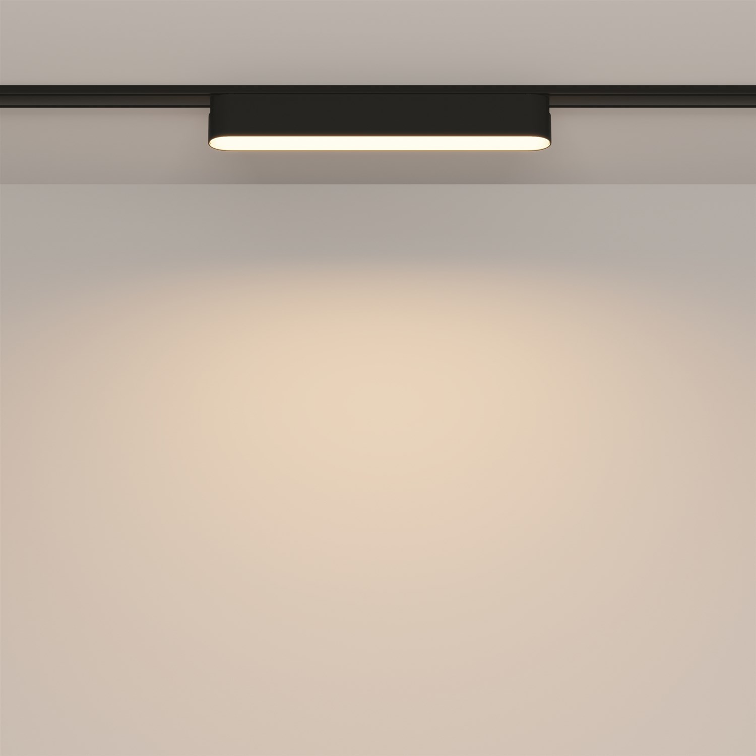 Maytoni Technical Basis Трековый светильник цвет: черный TR080-1-12W3K-B