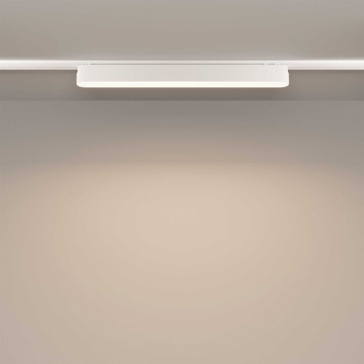 Maytoni Technical Basis Трековый светильник цвет: белый TR080-1-18W4K-W