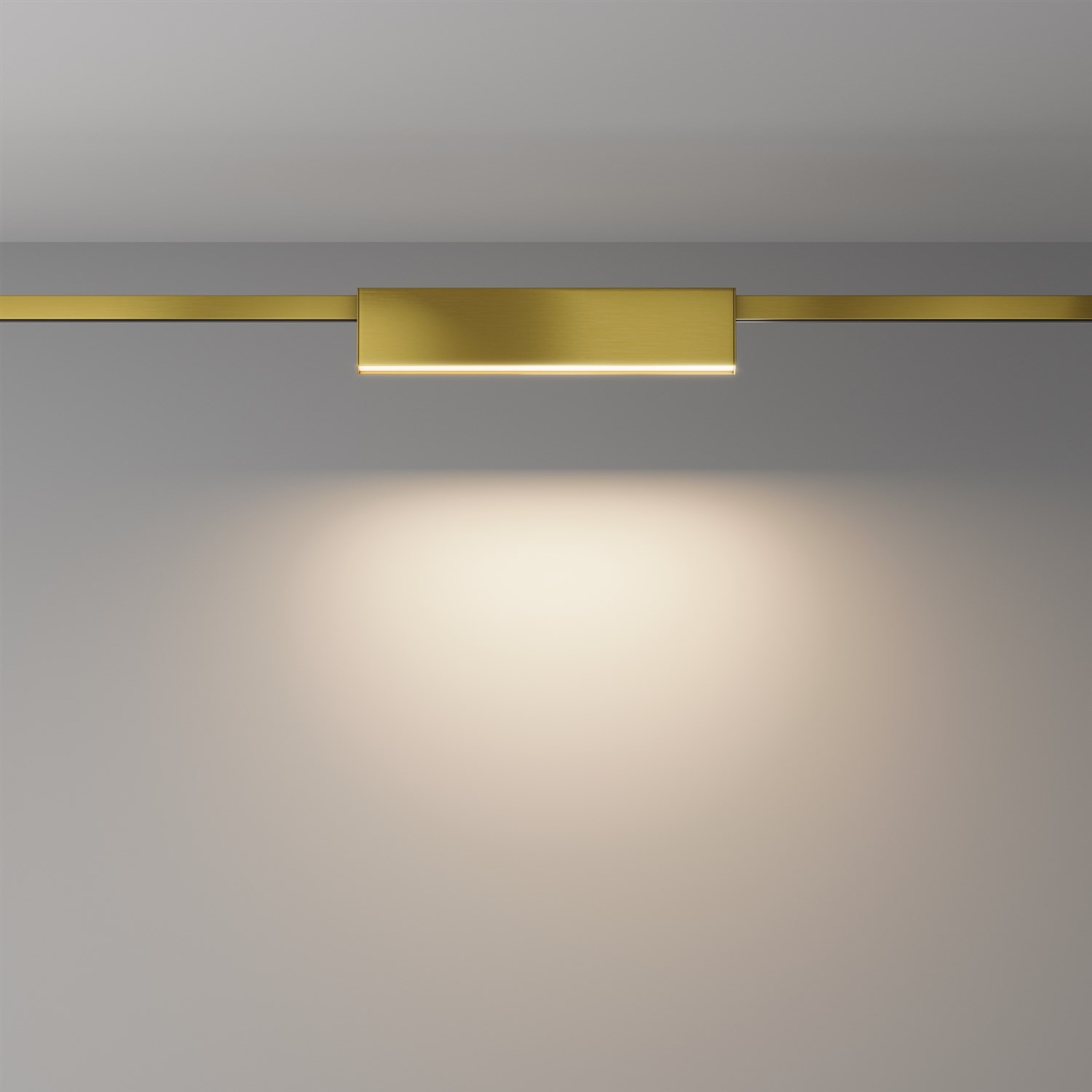Maytoni Technical Basis Трековый светильник цвет: латунь TR151-1-12W3K-BS