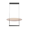 Maytoni Modern Ambience Подвесной светильник цвет: черный MOD280PL-L30B3K1
