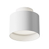 Maytoni Technical Planet Потолочный светильник цвет: белый C009CW-L12W4K