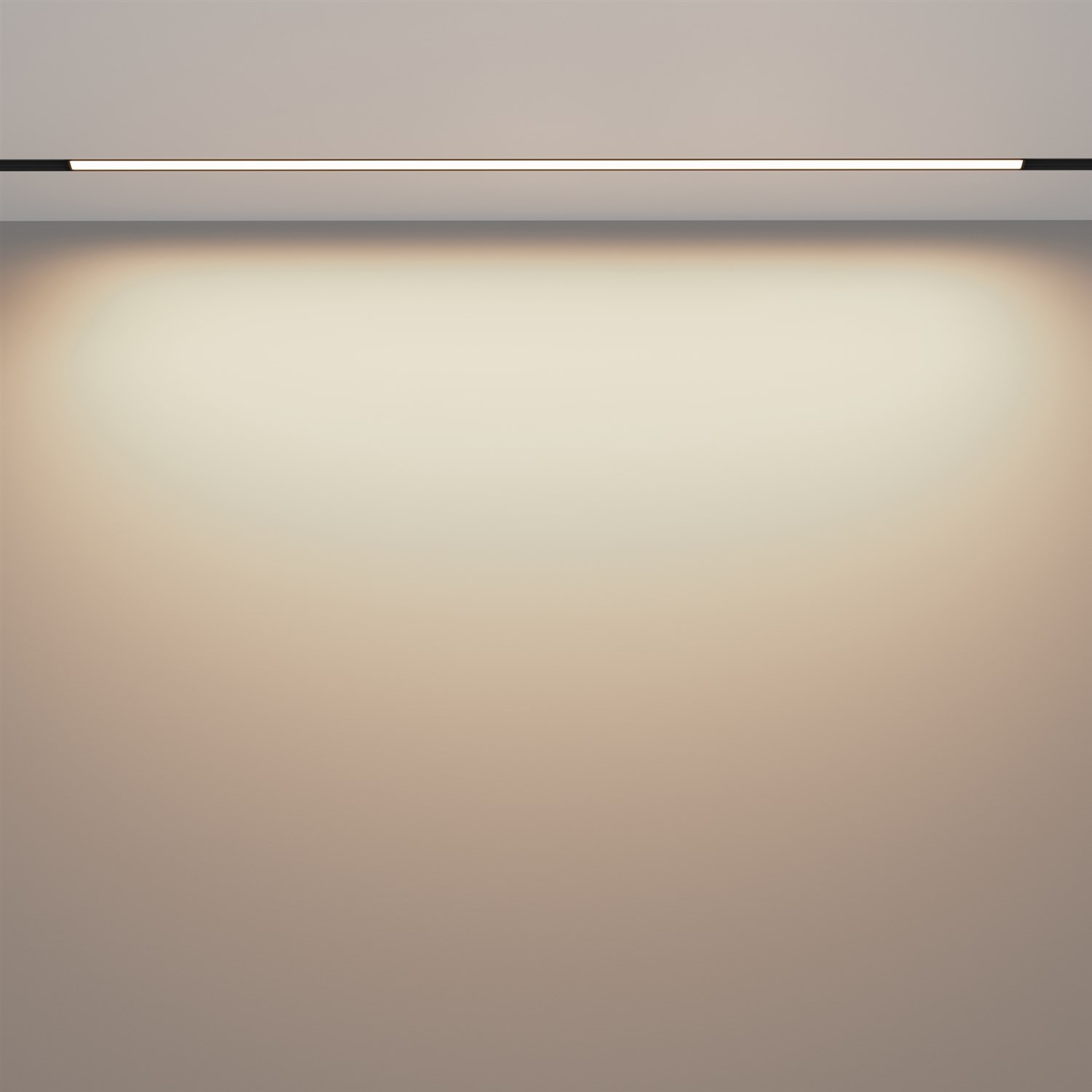 Maytoni Technical Basis Трековый светильник цвет: черный TR030-2-30W3K-B