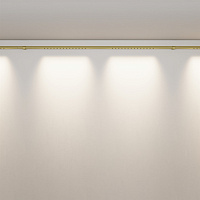 Maytoni Technical Points Светильник цвет: латунь C101CL-L1000-24W3-6K-BS