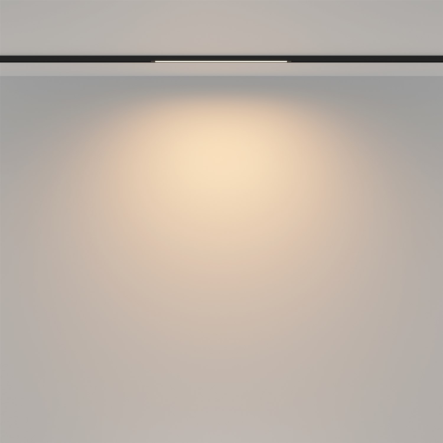 Maytoni Technical Basis Трековый светильник цвет: черный TR173-1-8WTW-B