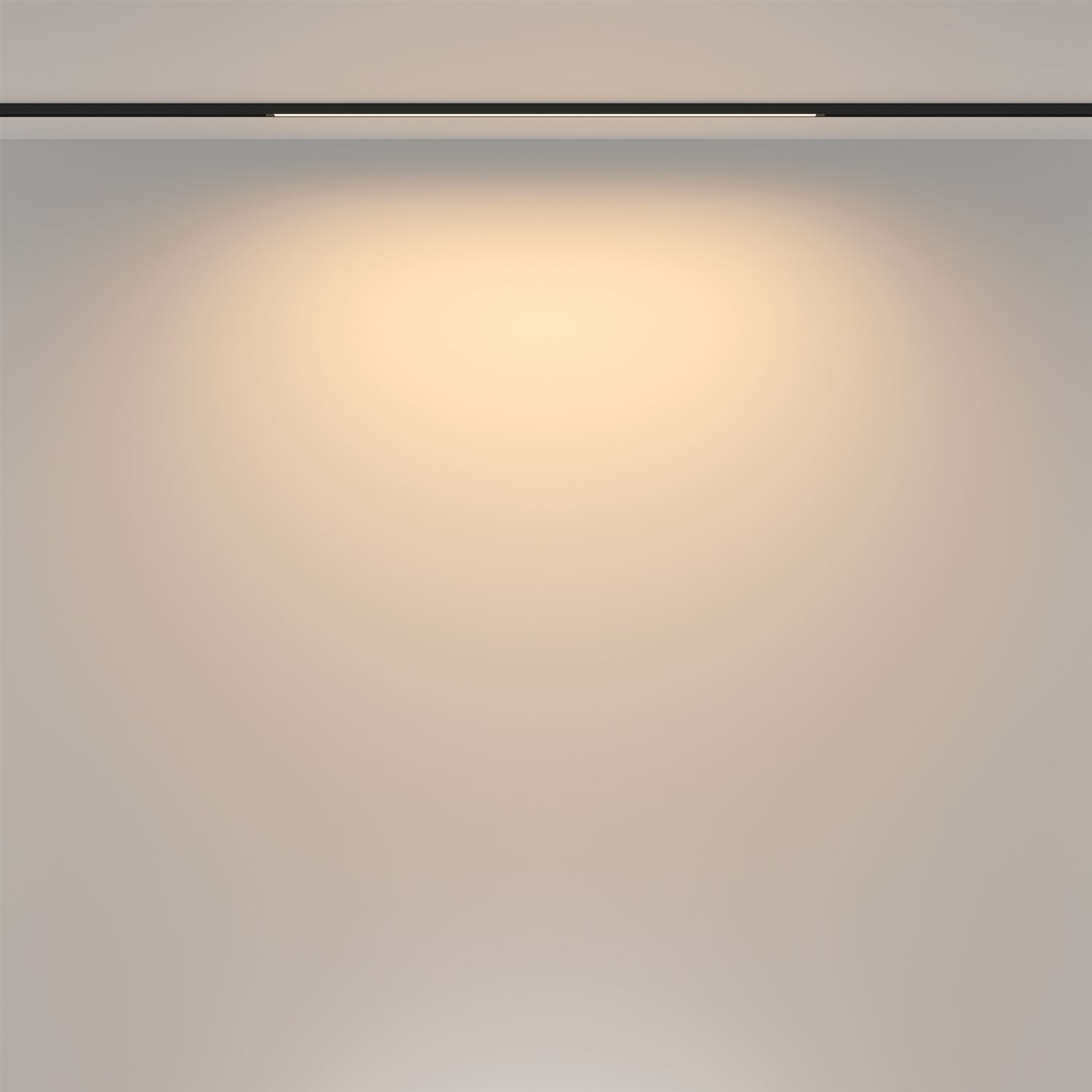 Maytoni Technical Basis Трековый светильник цвет: черный TR173-1-16WTW-B