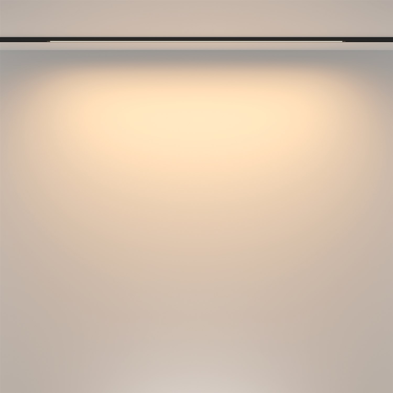 Maytoni Technical Basis Трековый светильник цвет: черный TR173-1-24WTW-B