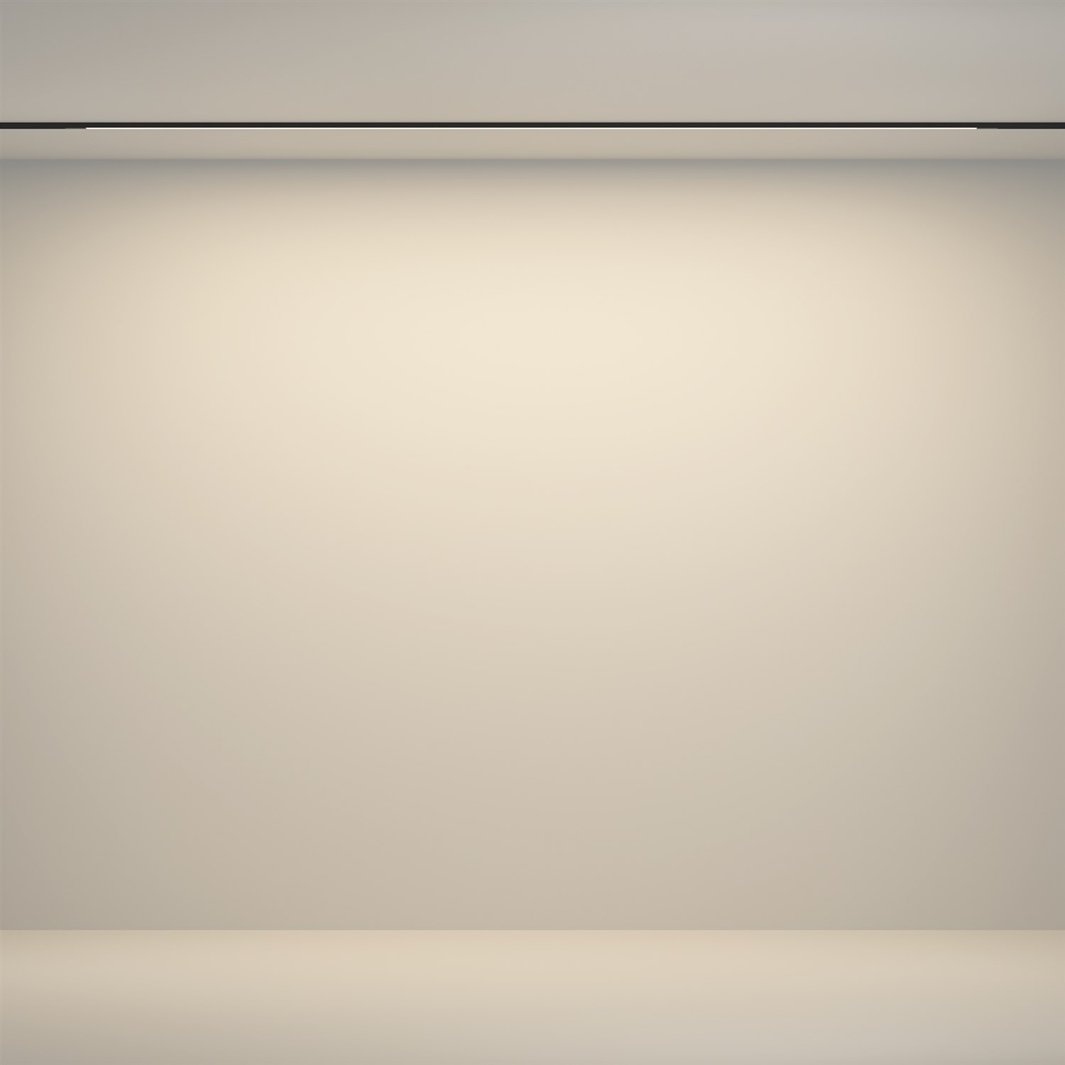 Maytoni Technical Flex Трековый светильник цвет: черный TR180-1-24WTW-B