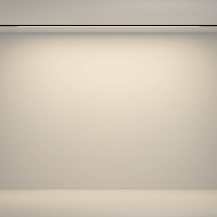 Maytoni Technical Flex Трековый светильник цвет: черный TR180-1-24WTW-B