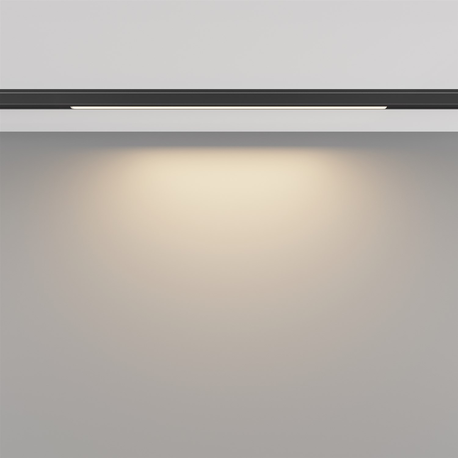 Maytoni Technical Basis Трековый светильник цвет: черный TR190-1-5W3K-B
