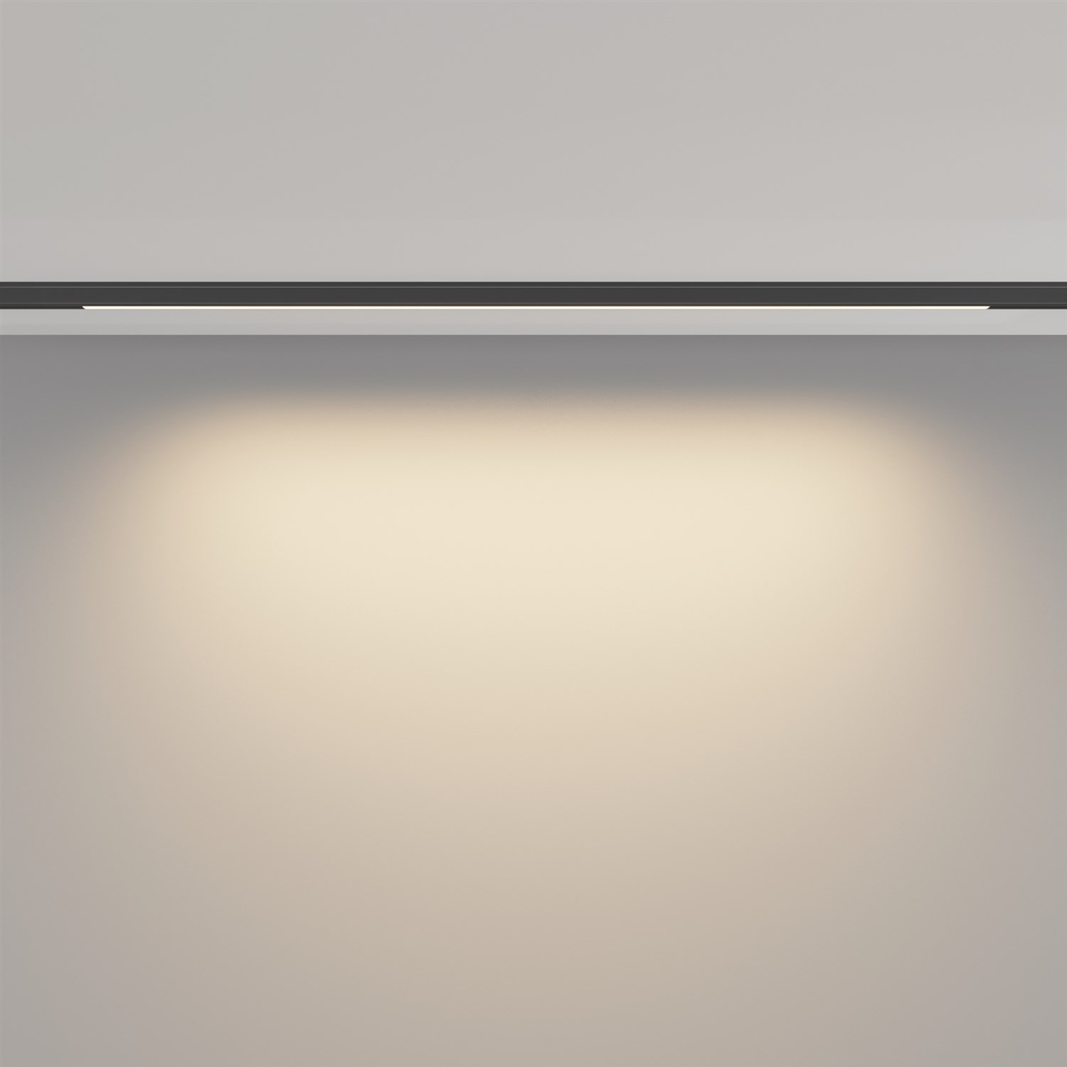 Maytoni Technical Basis Трековый светильник цвет: черный TR190-1-10W3K-B
