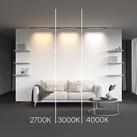 Maytoni Technical Basis Трековый светильник цвет: черный TR190-1-10W3K-B