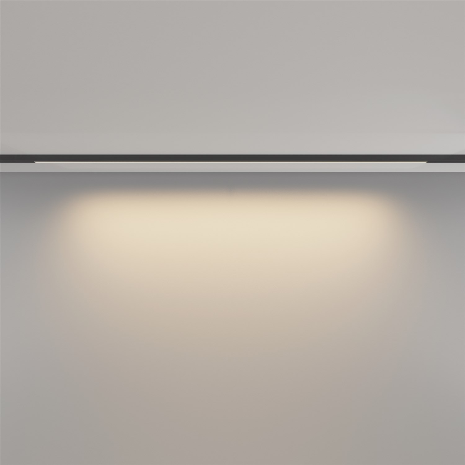 Maytoni Technical Basis Трековый светильник цвет: черный TR190-1-15W3K-B