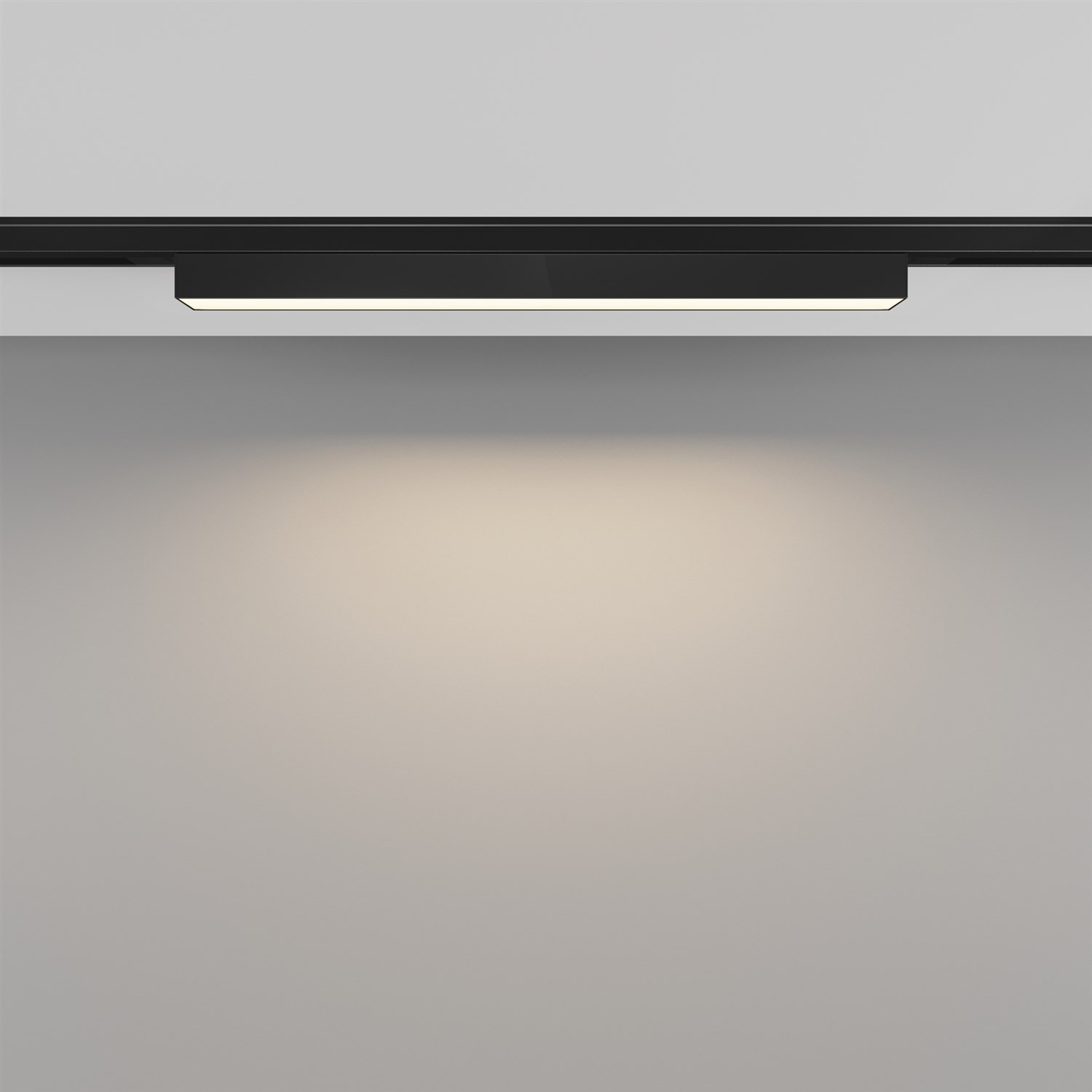 Maytoni Technical Basis Трековый светильник цвет: черный TR192-1-8W3K-B