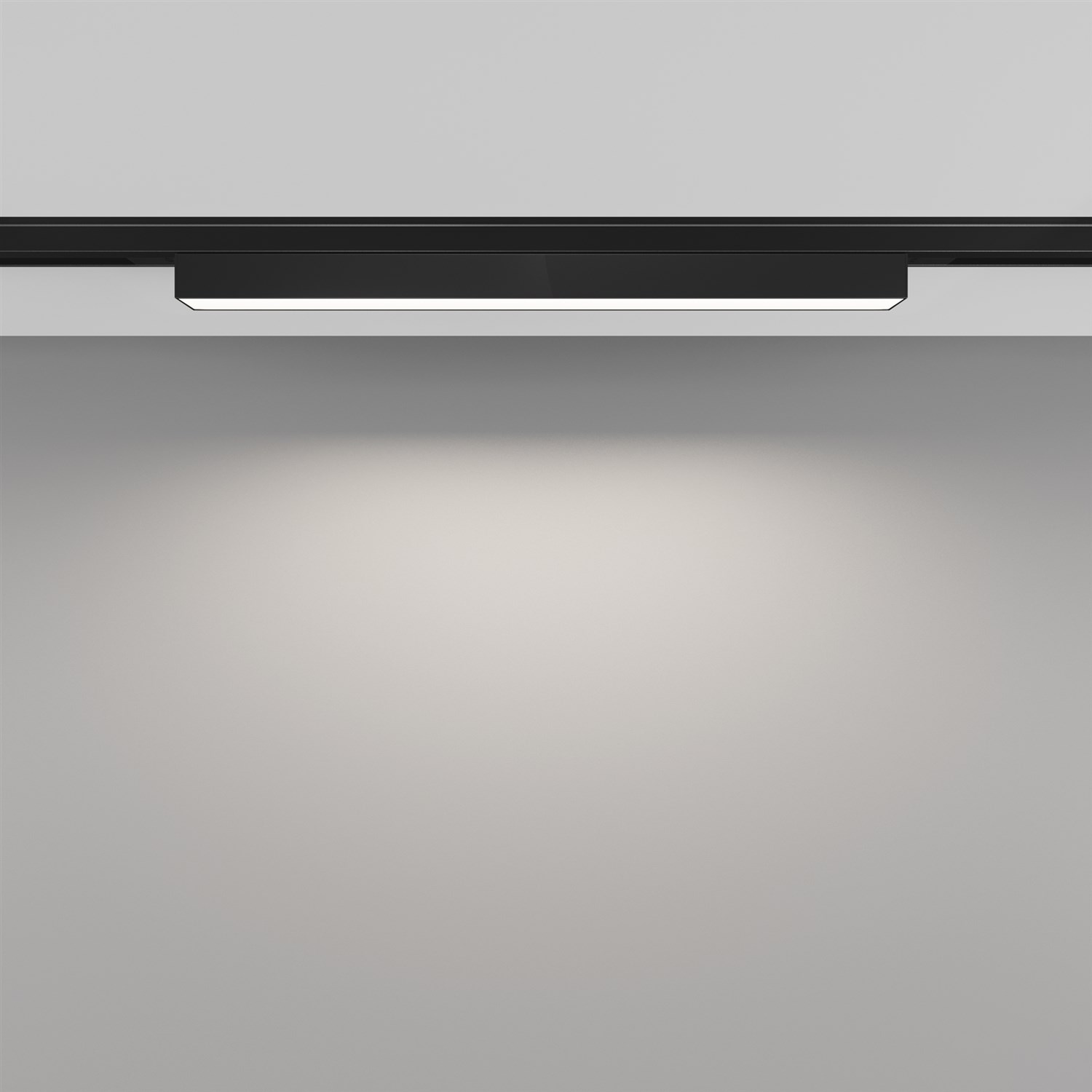 Maytoni Technical Basis Трековый светильник цвет: черный TR192-1-8W4K-B