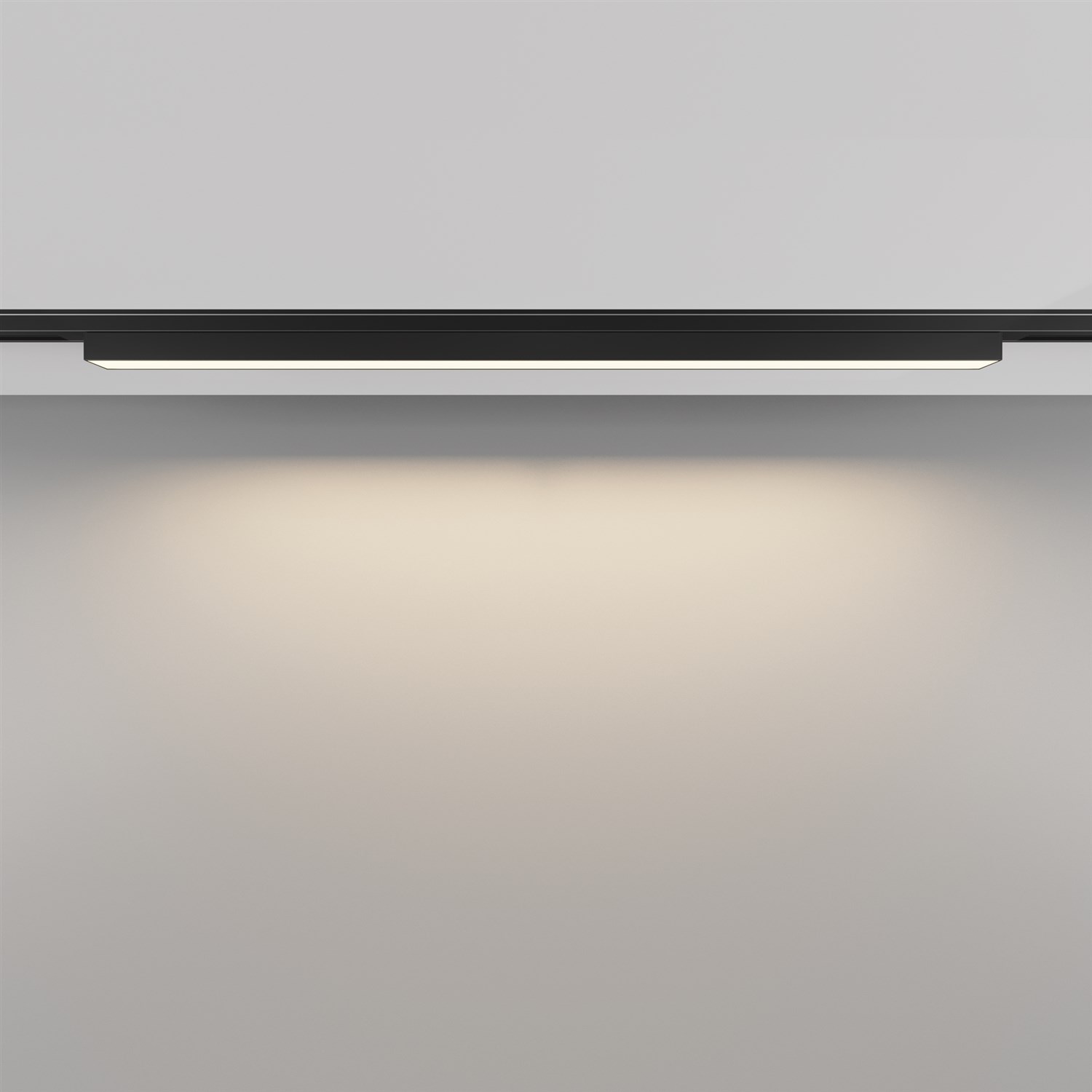Maytoni Technical Basis Трековый светильник цвет: черный TR192-1-16W3K-B