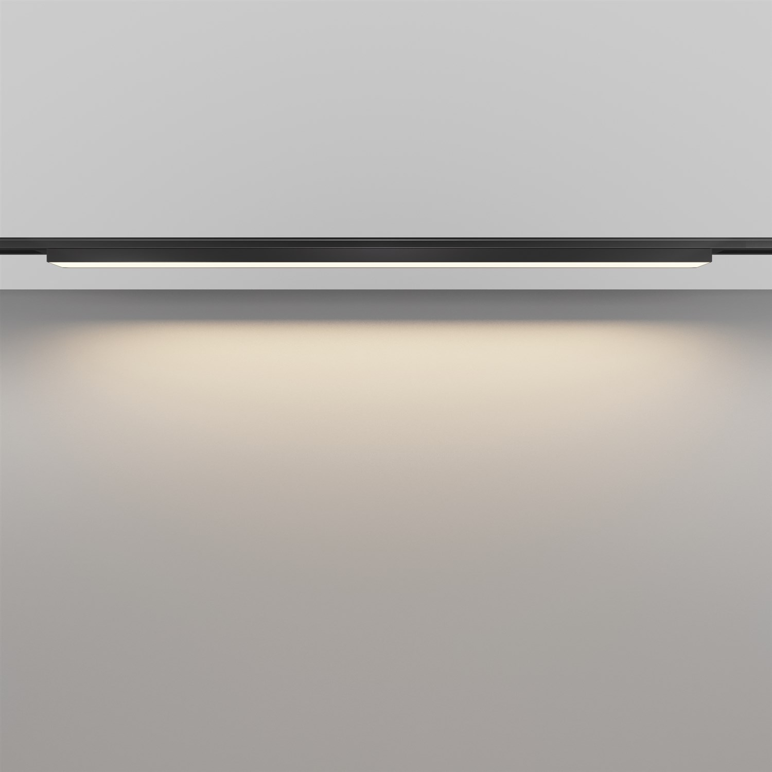 Maytoni Technical Basis Трековый светильник цвет: черный TR192-1-21W3K-B