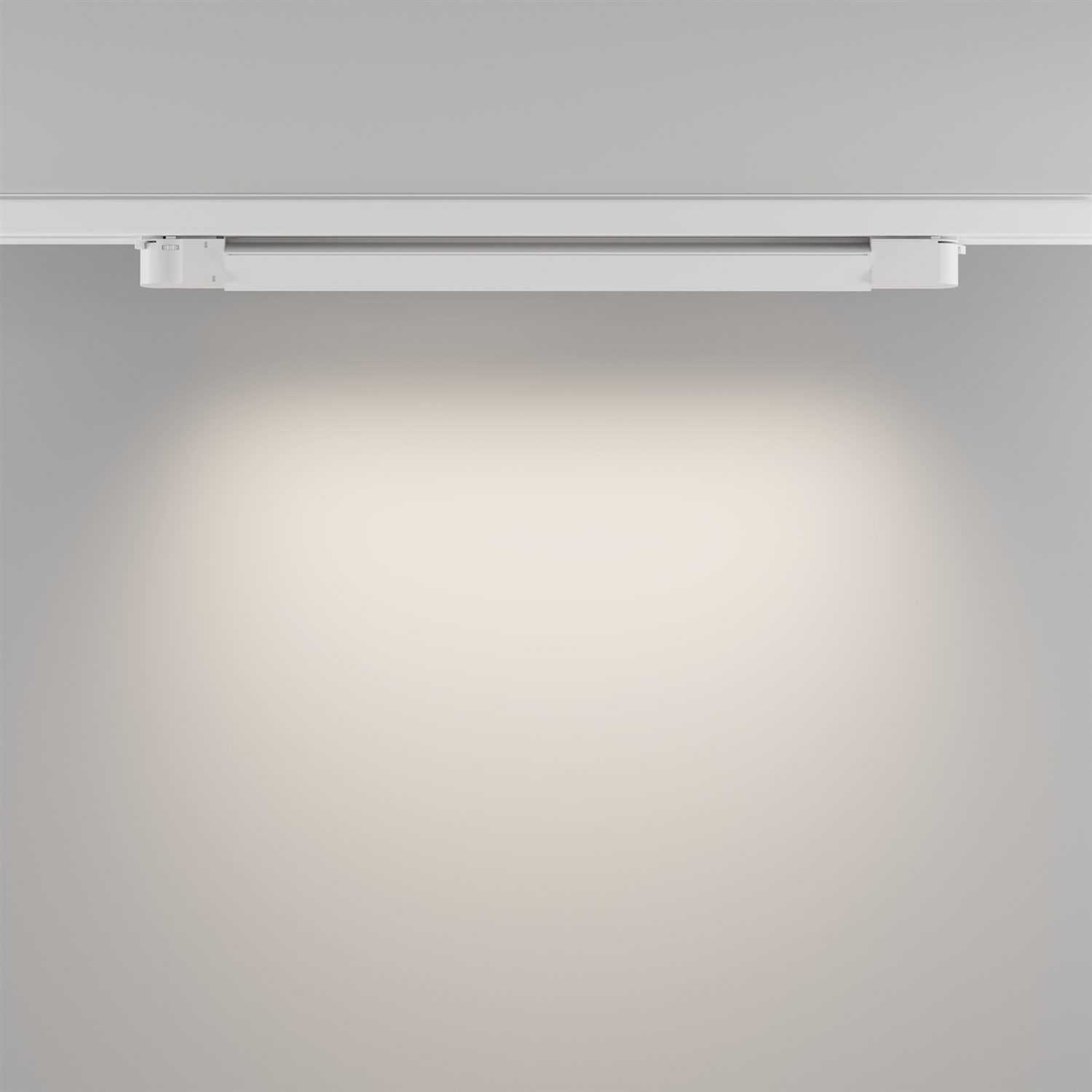 Maytoni Technical Basis Трековый светильник цвет: белый TR196-3-20W4K-W
