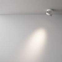Maytoni Technical Magic Потолочный светильник цвет: белый C022CL-7W4K-W-1