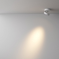 Maytoni Technical Magic Потолочный светильник цвет: белый C022CL-7W3K-W-1