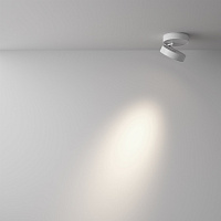 Maytoni Technical Magic Потолочный светильник цвет: белый C022CL-12W4K-W-1