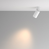Maytoni Technical Calipso Потолочный светильник цвет: белый C108CL-01-GU10-W