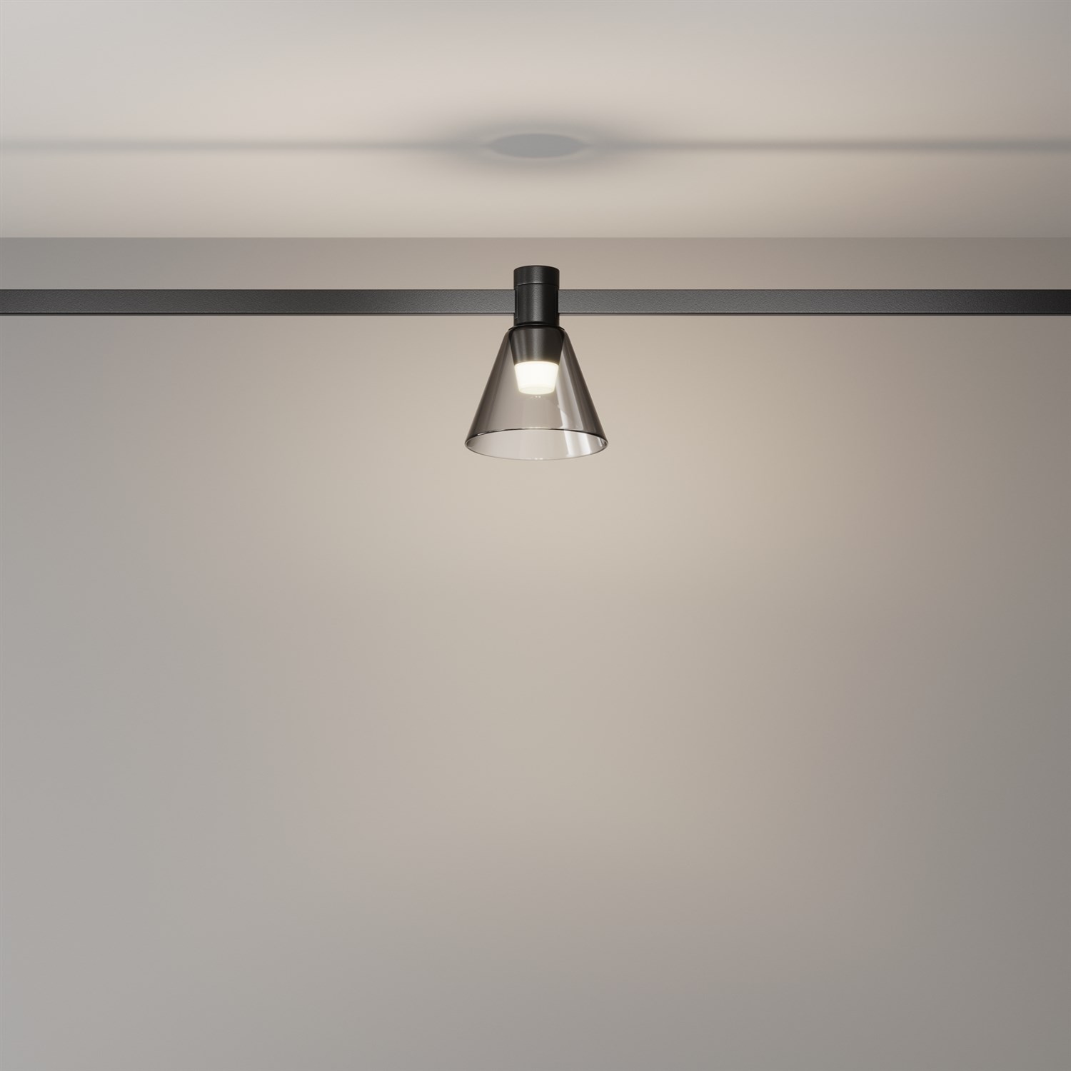 Maytoni Technical Bianca Трековый светильник цвет: черный TR147-1-3W4K-B