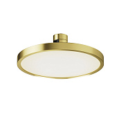 Maytoni Technical Plato Трековый светильник цвет: латунь TR153-1-10W4K-BS