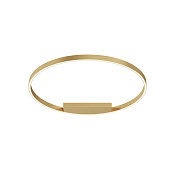 Maytoni Modern Rim Потолочный светильник цвет: латунь MOD058CL-L50BSK