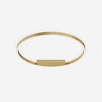 Maytoni Modern Rim Потолочный светильник цвет: латунь MOD058CL-L50BSK
