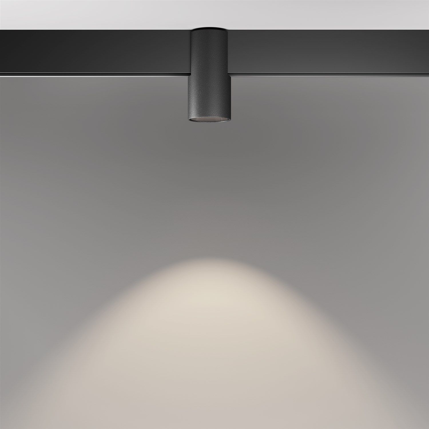 Maytoni Technical Alfa Трековый светильник цвет: черный TR122-2-7W4K-B