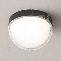 Maytoni Outdoor Mon Потолочный светильник цвет: графит O438CL-L12GF3K
