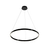 Maytoni Modern Rim Подвесной светильник цвет: черный MOD058PL-L42BK