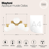 Maytoni Modern Dallas Настенный светильник (бра) цвет: золото MOD547WL-05BS