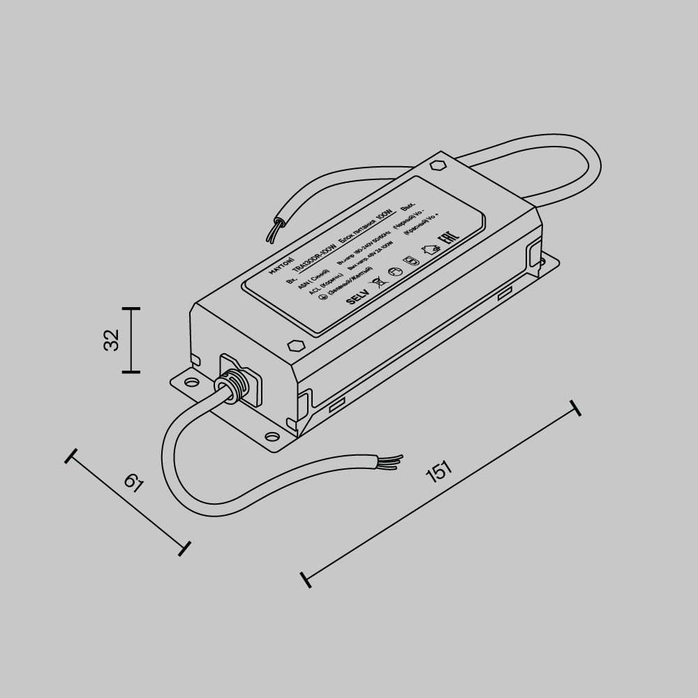 Maytoni Technical Power Supply Parity Блок питания цвет: серебро TRA130DR-100W