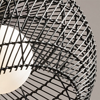 Maytoni Modern Cane Подвесной светильник цвет: черный MOD204PL-01B