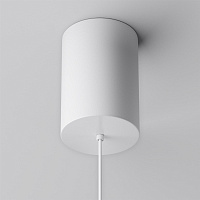 Maytoni Technical Plato Подвесной светильник цвет: белый P076PL-L12W4K-W