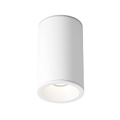 Maytoni Technical Zoom Потолочный светильник цвет: белый C029CL-01-S-W