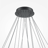 Maytoni Modern Line Подвесной светильник цвет: черный MOD016PL-L96BK