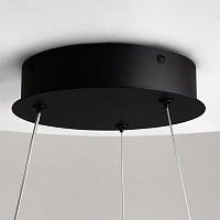 Maytoni Modern Curve Подвесной светильник цвет: черный MOD241PL-L60BK