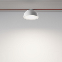 Maytoni Technical Bowl Подвесной светильник цвет: черный TR126B-20W4K-W