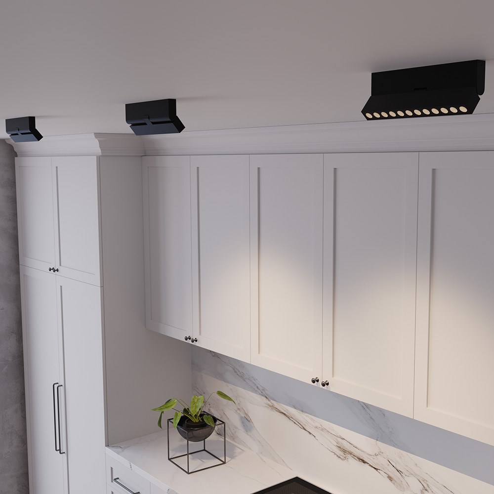 Maytoni Technical Points rot Потолочный светильник цвет: черный C136CL-12W3K-B