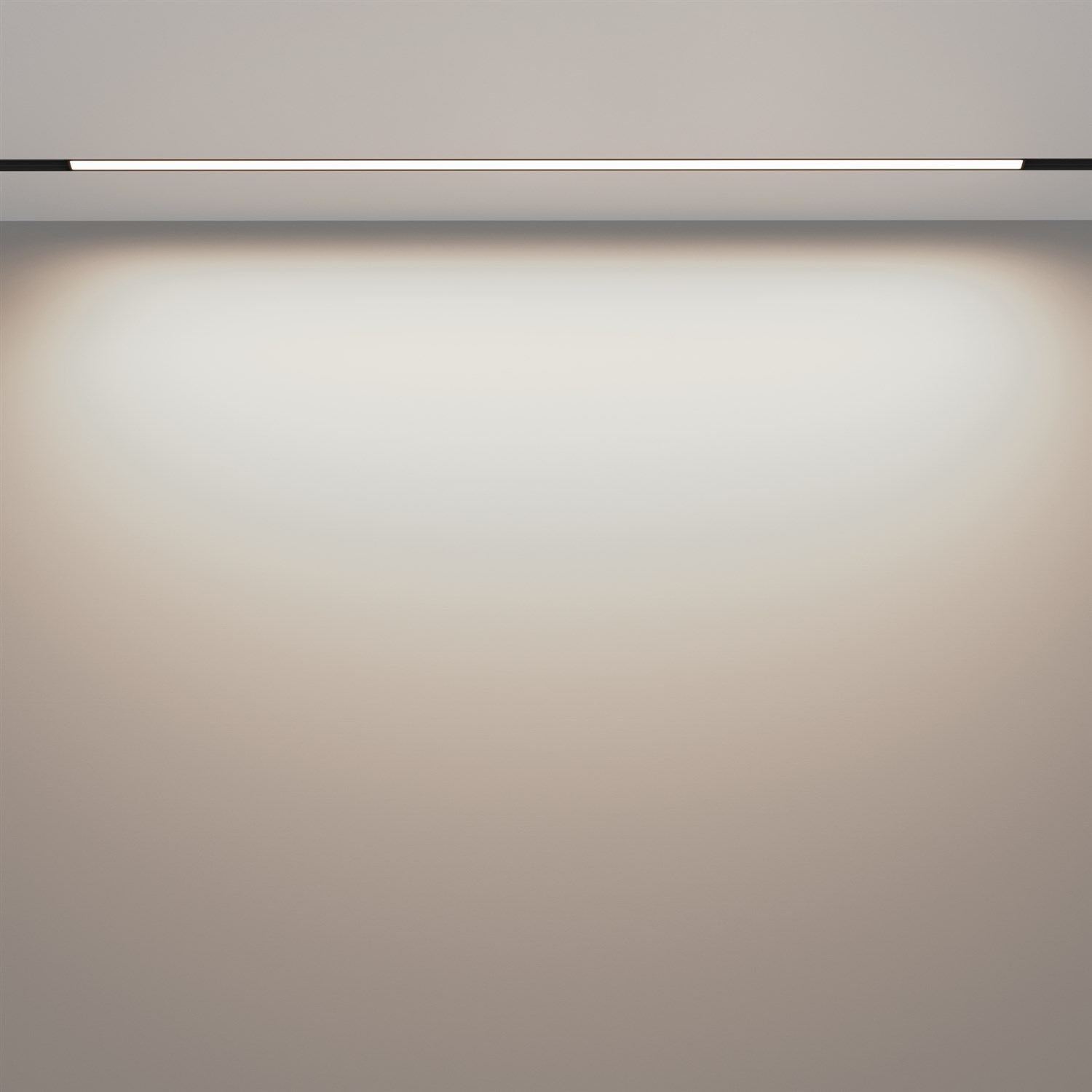 Maytoni Technical Basis Трековый светильник цвет: черный TR030-2-30W4K-B