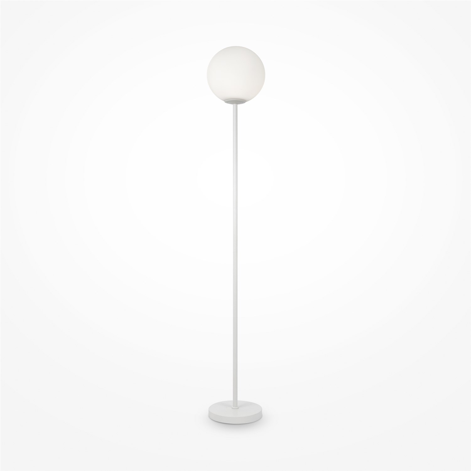 Maytoni Modern Ring Напольный светильник (торшер) цвет: белый MOD013FL-01W