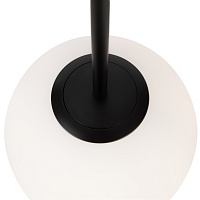 Maytoni Modern Basic form Подвесной светильник цвет: черный MOD321PL-01B1
