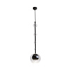 Maytoni Modern Ros Подвесной светильник цвет: черный MOD227PL-01B