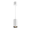 Maytoni Technical Vol Подвесной светильник цвет: белый P100PL-20W3K-W